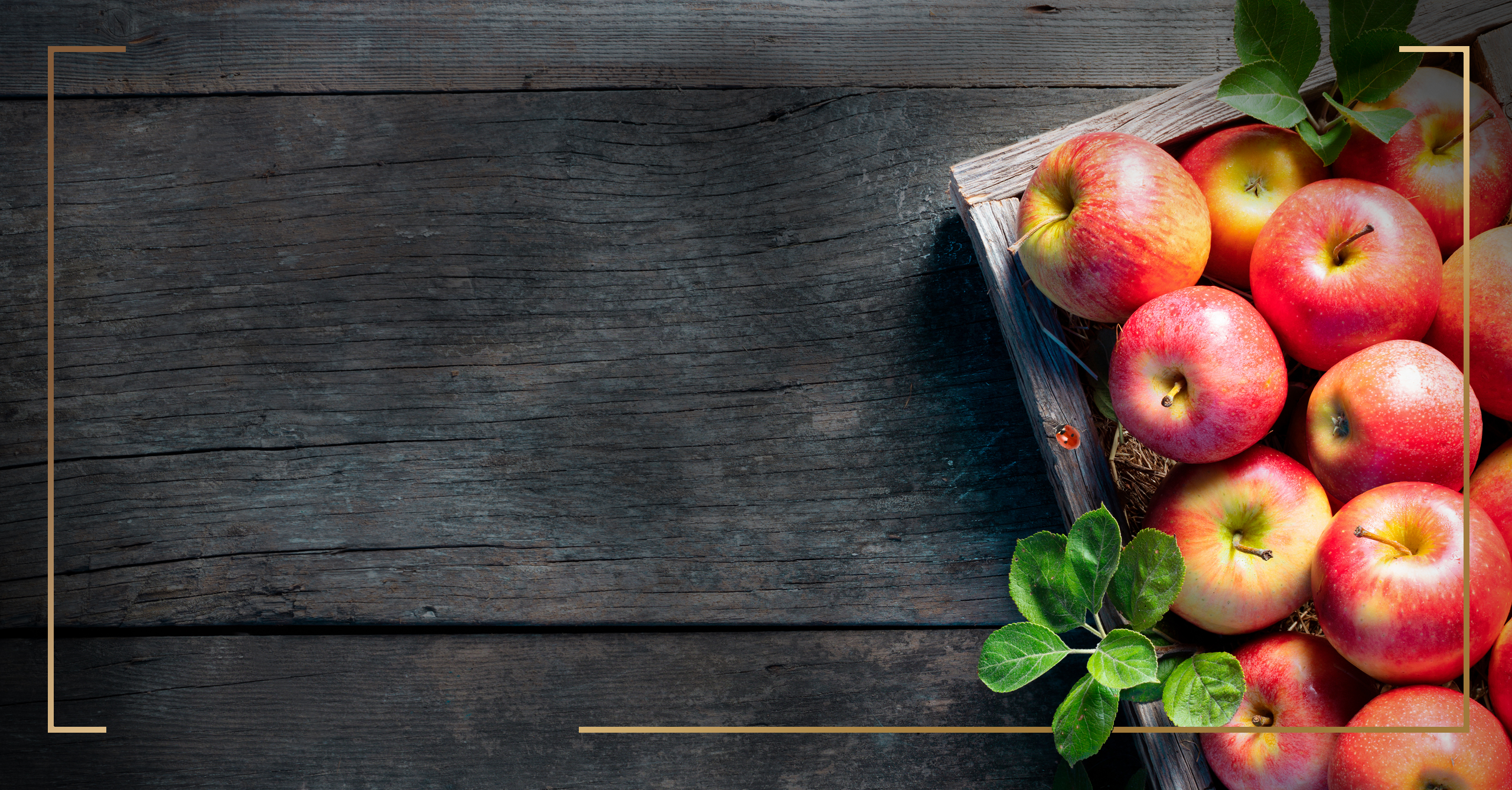 Safari Apple Cider Vinegar