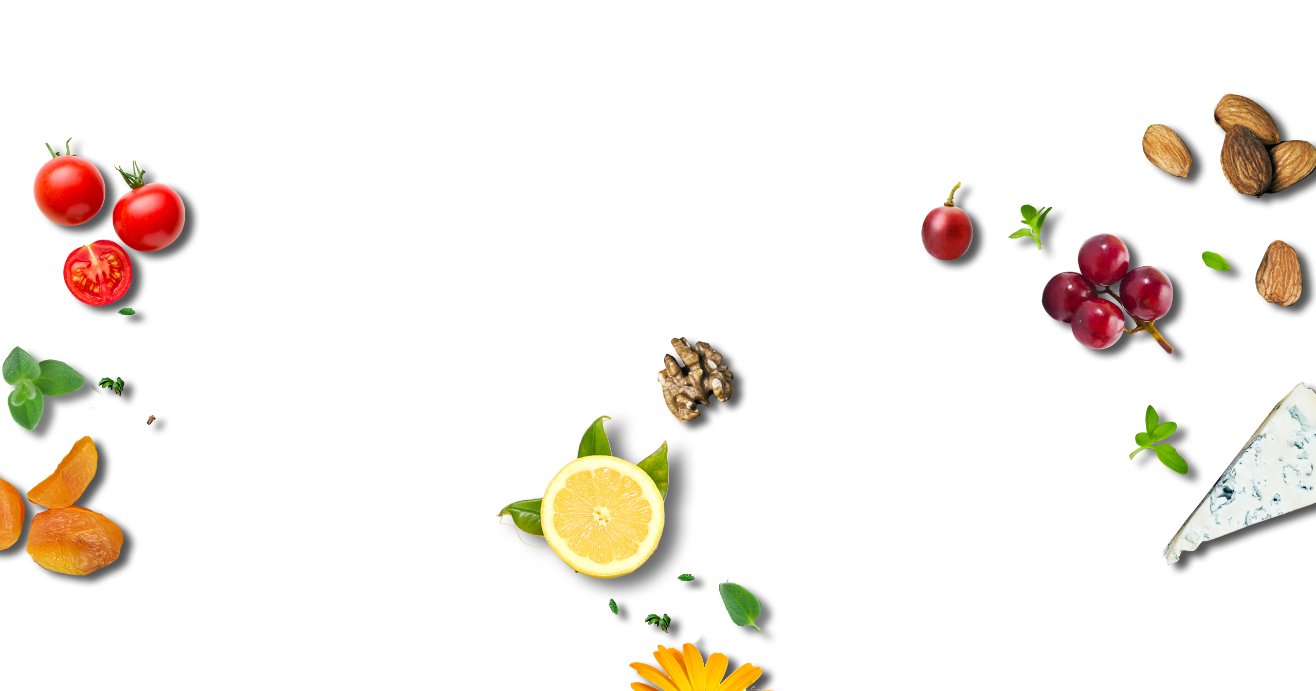 Safari Vinegar
