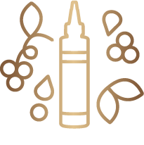 Balsamic and Wine Vinegar